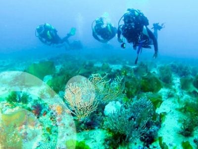 Activités à Barbate