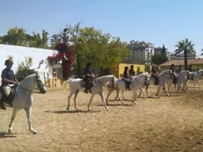 centre-equestre-las-marias