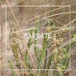 Barbate