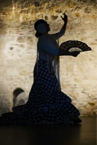 Flamenco Jerez de la Frontera