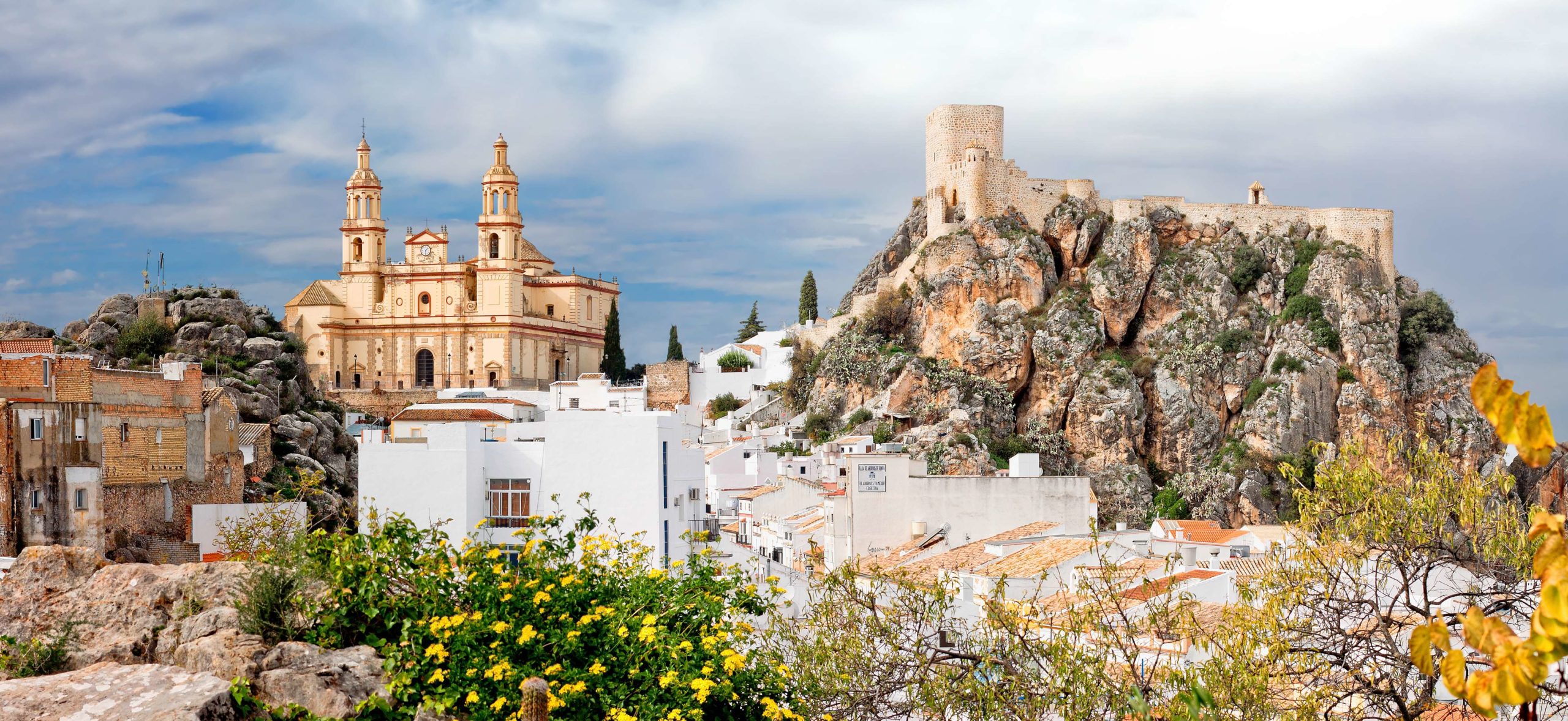 Vue du village blanc d'Olvera